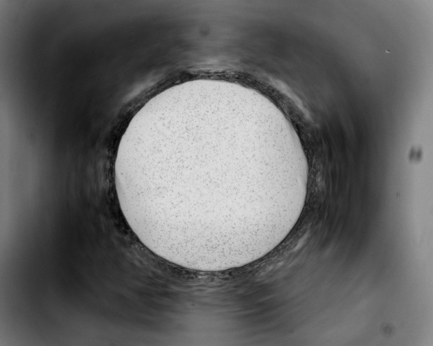 X0000103411350200810241159