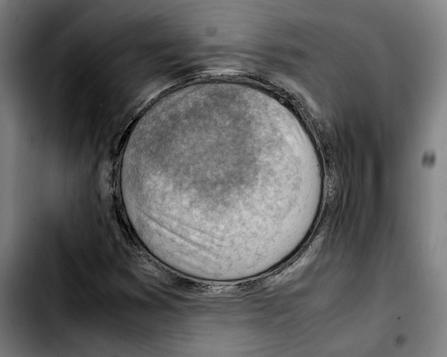 X0000103411353200810241159