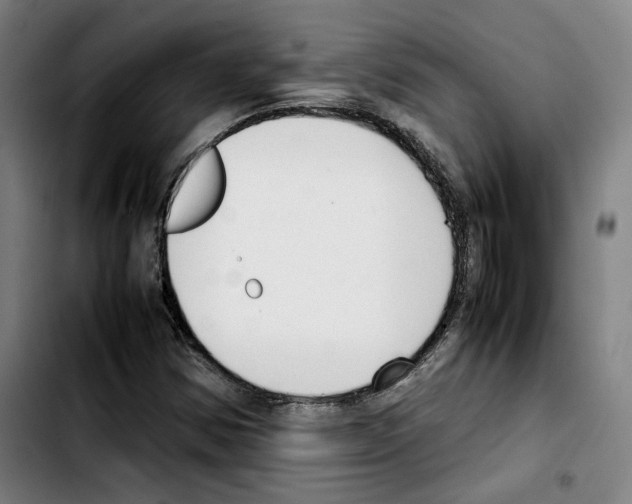 X0000103411354200810241159