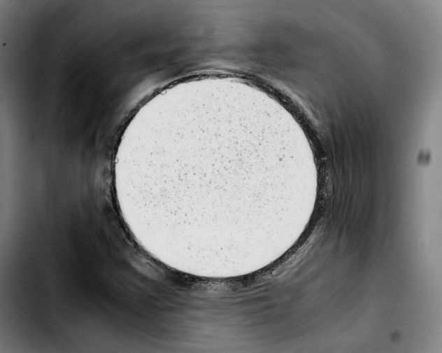 X0000103411355200810241159