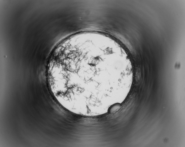 X0000103411356200810241159