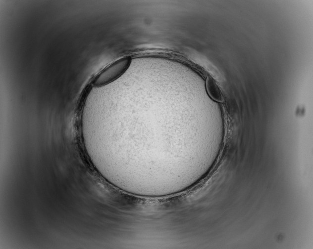 X0000103411357200810241159