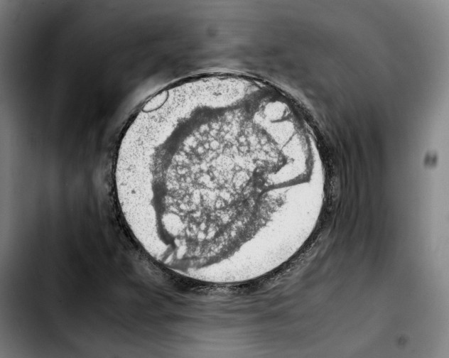 X0000103411359200810241159