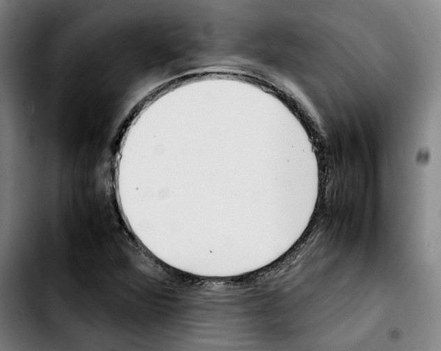 X0000103411360200810241159