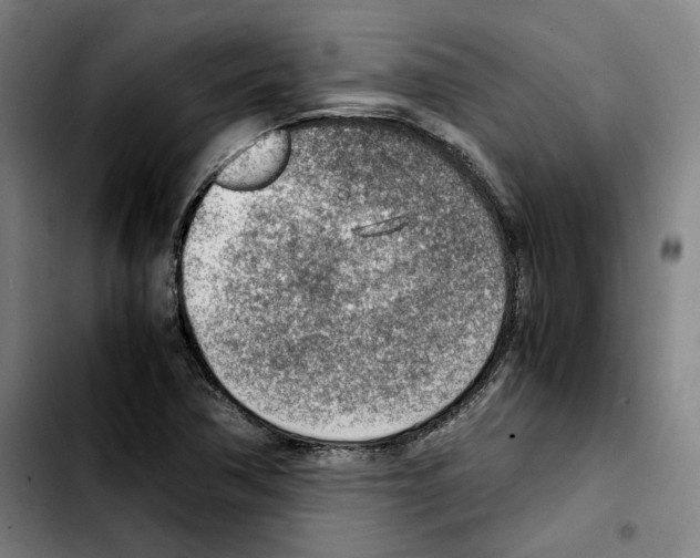 X0000103411362200810241158