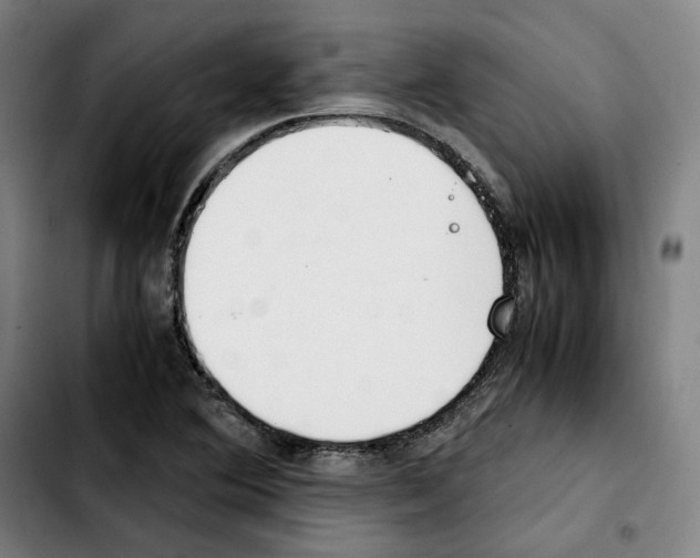 X0000103411364200810241158