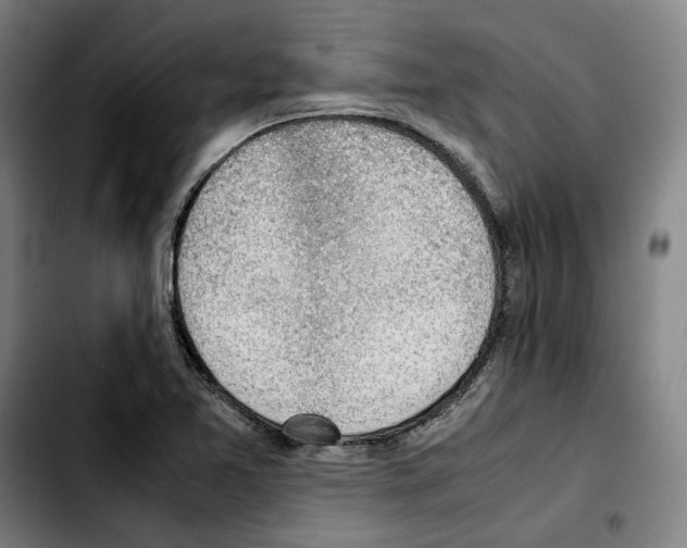 X0000103411365200810241158