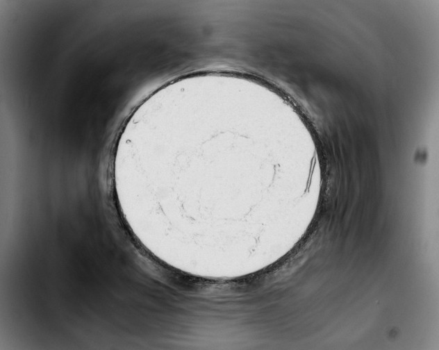 X0000103411367200810241158