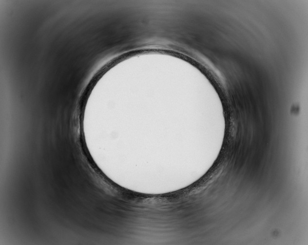 X0000103411368200810241158