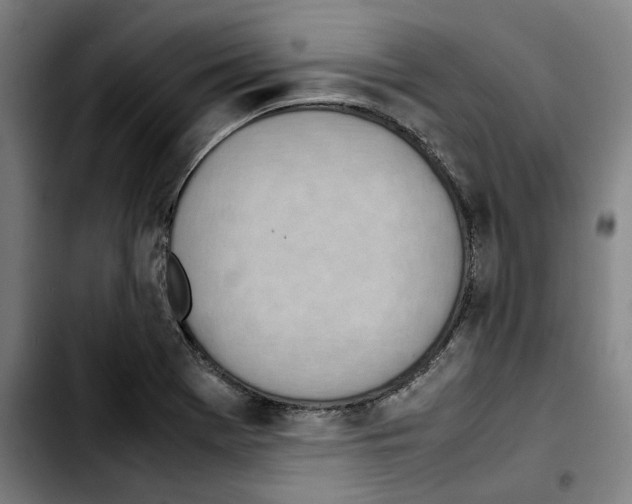 X0000103411369200810241158