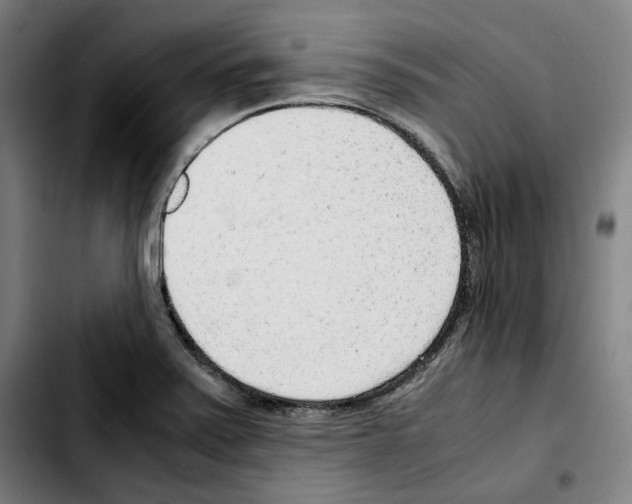 X0000103411371200810241158