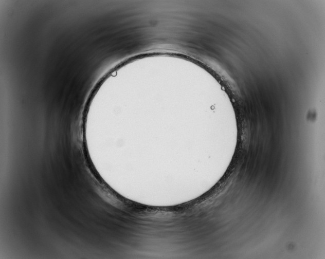 X0000103411372200810241158