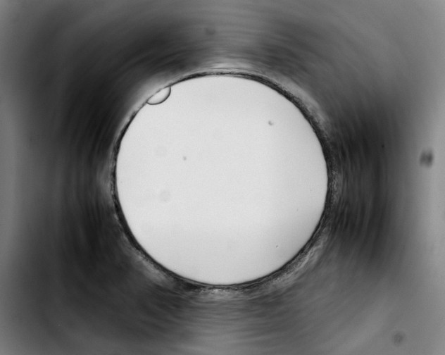 X0000103411374200810241158