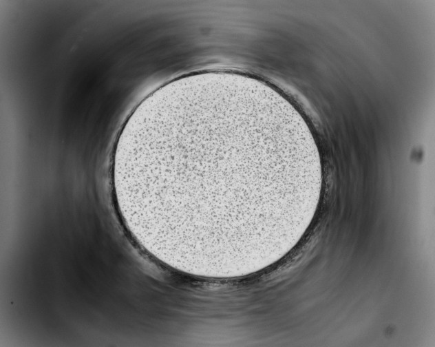 X0000103411375200810241158