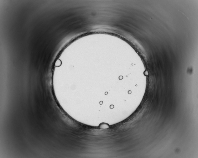 X0000103411376200810241158