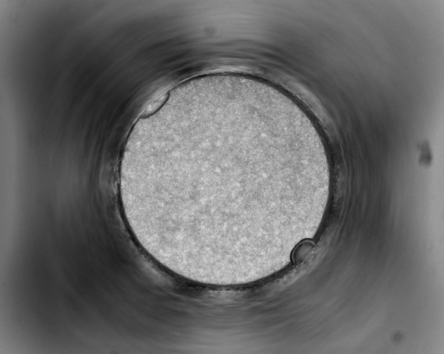 X0000103411377200810241158