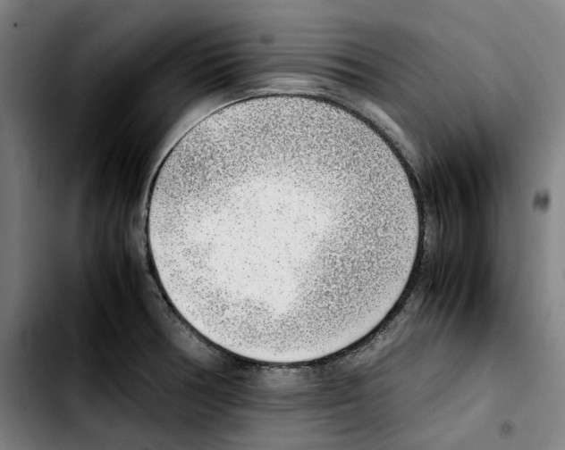 X0000103411378200810241158