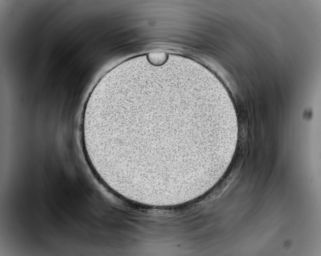 X0000103411379200810241158