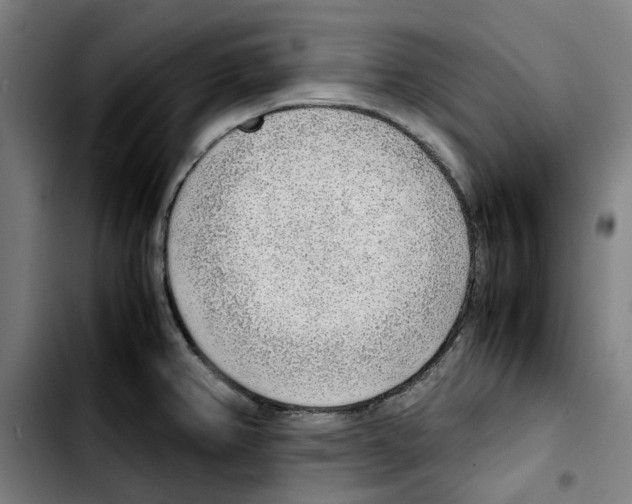 X0000103411382200810241158