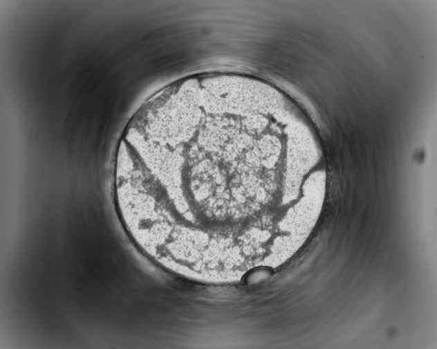 X0000103411383200810241158