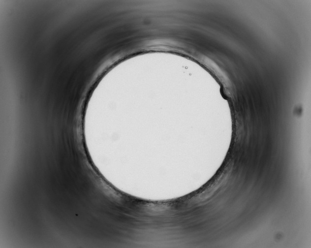 X0000103411384200810241158