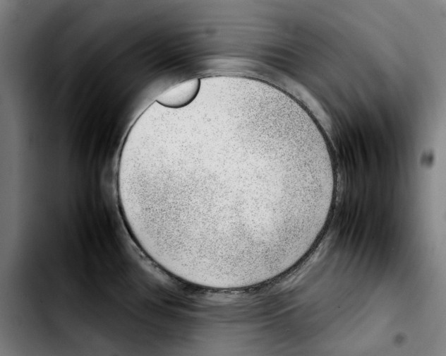 X0000103411386200810241158