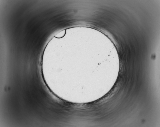 X0000103411387200810241158