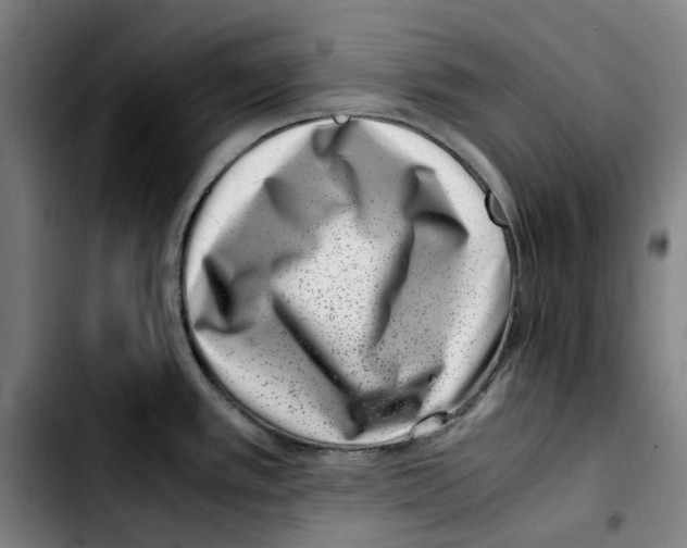 X0000103411389200810241158