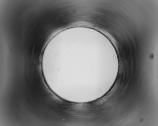 X0000103411390200810241158