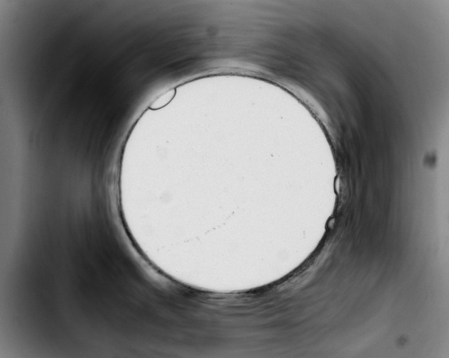 X0000103411391200810241158