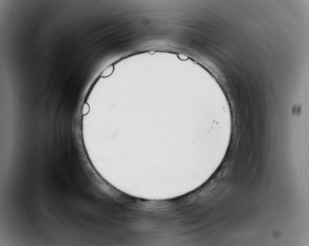 X0000103411392200810241158