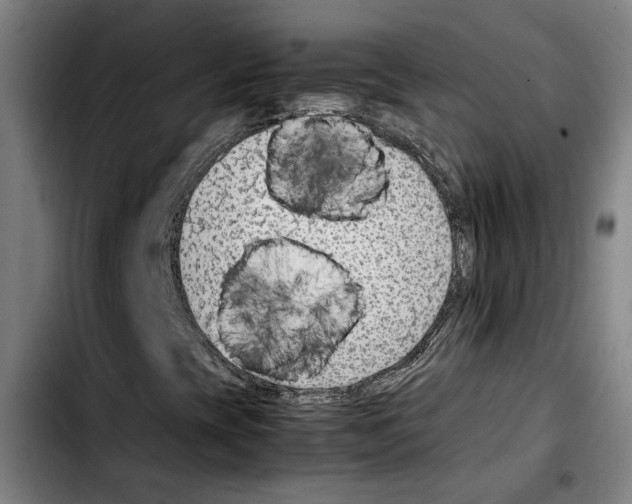 X0000103411393200810241157