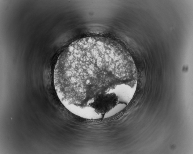 X0000103411394200810241157