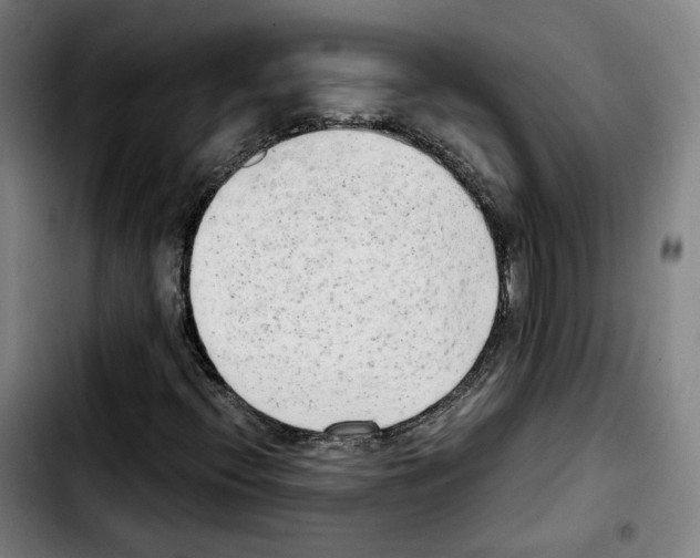 X0000103411396200810241157