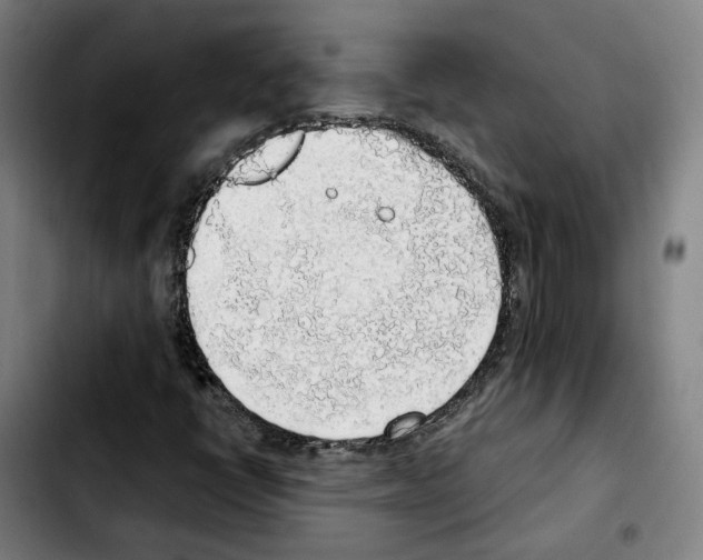 X0000103411398200810241157