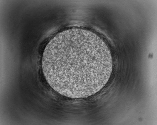 X0000103411399200810241157