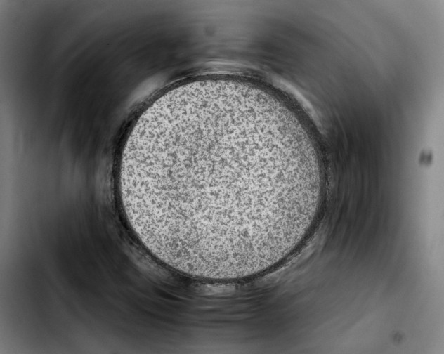 X0000103411403200810241157