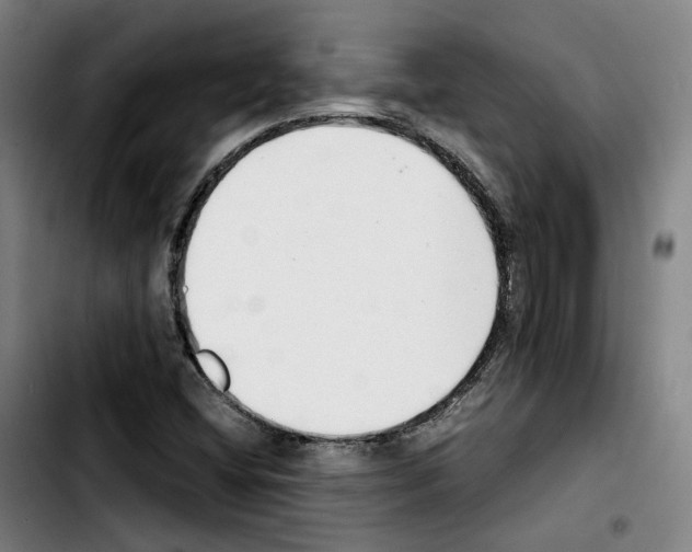 X0000103411404200810241157