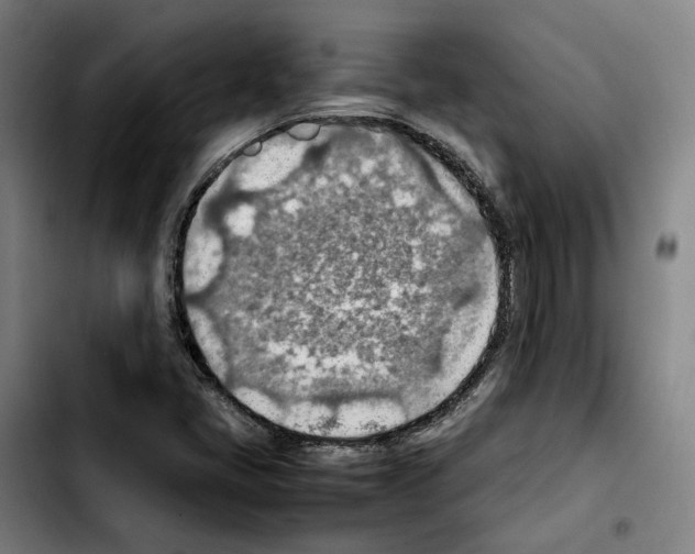 X0000103411405200810241157