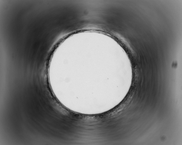 X0000103411408200810241157