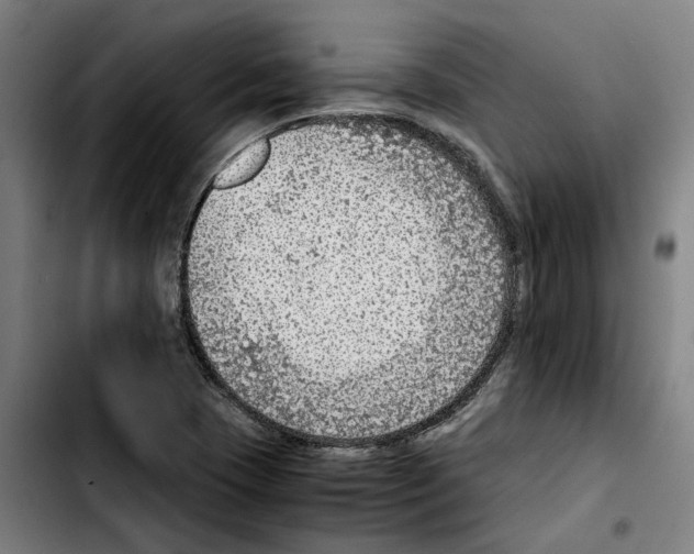 X0000103411409200810241157