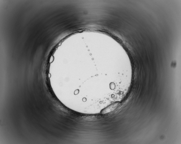 X0000103411410200810241157