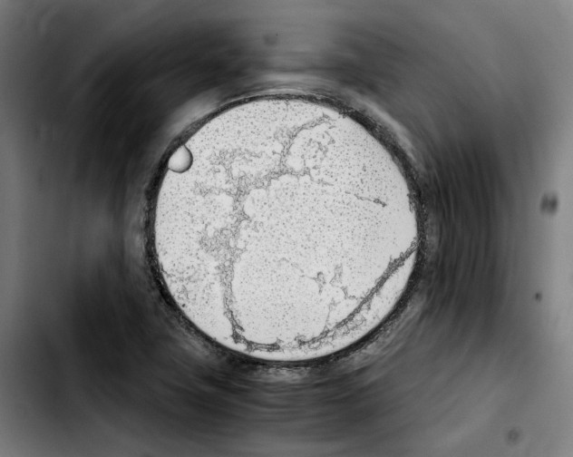 X0000103411411200810241157