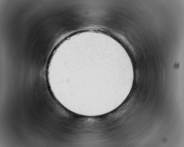 X0000103411412200810241158