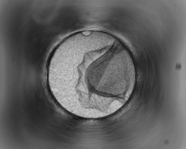 X0000103411414200810241158