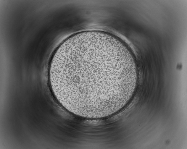 X0000103411415200810241158