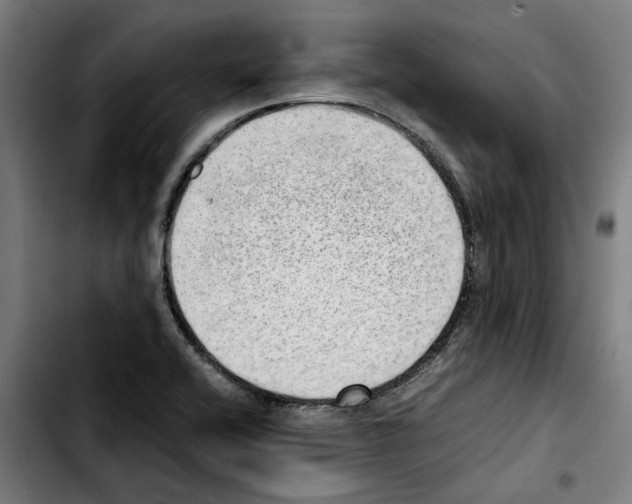 X0000103411416200810241158