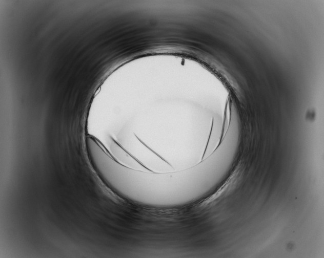 X0000103411417200810241158