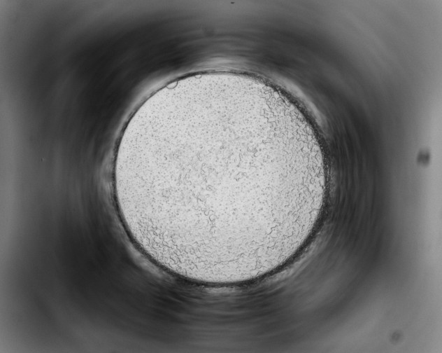 X0000103411421200810241158