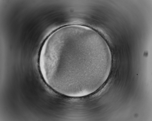 X0000103411422200810241158